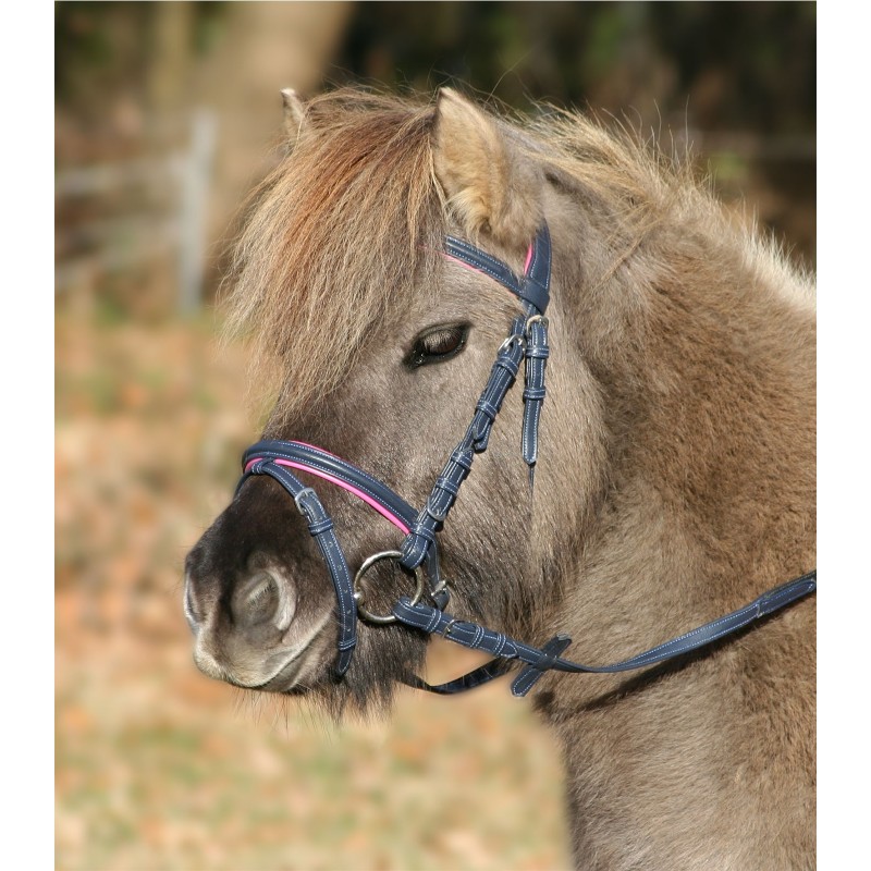 Cabezada de Montar Unicorn 2 de Waldhausen para Poni